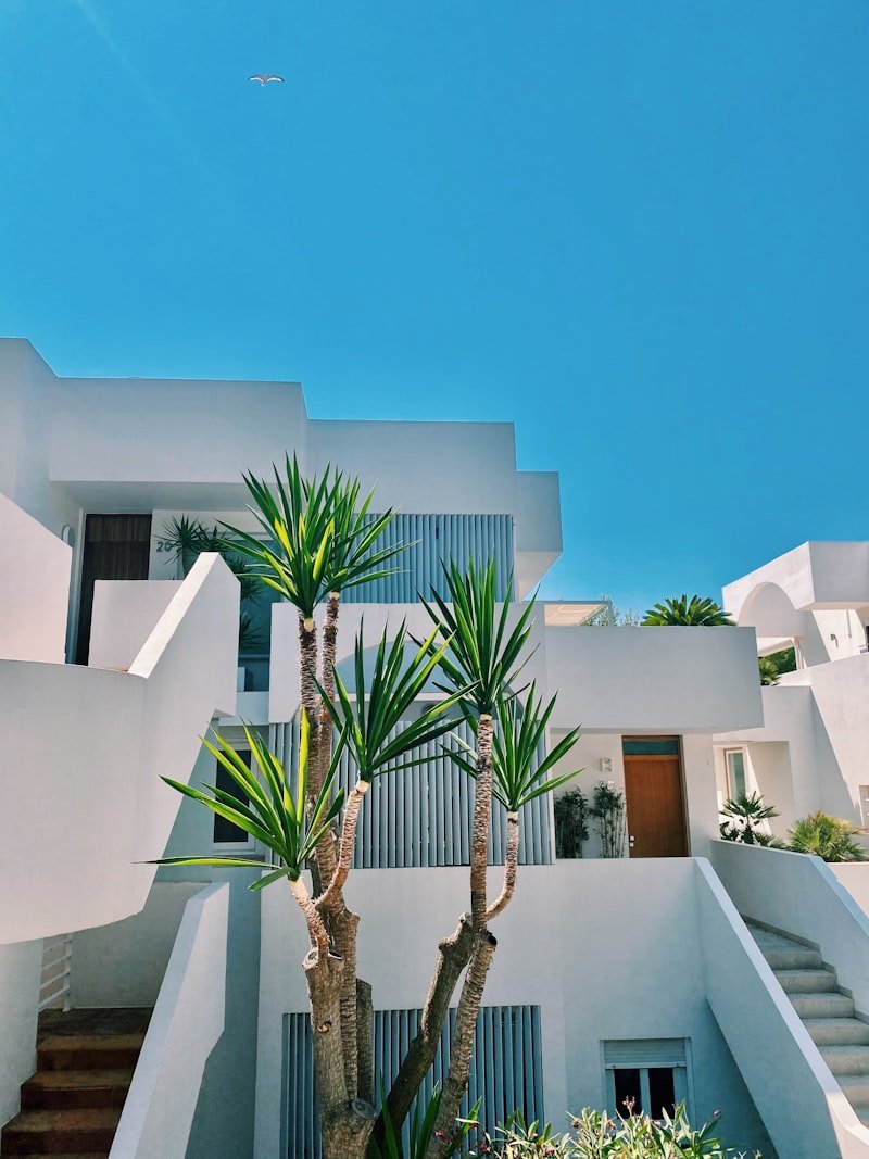 Vineyard Estate Plot